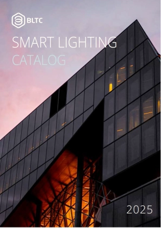 Beautiful Light Technology Corp.